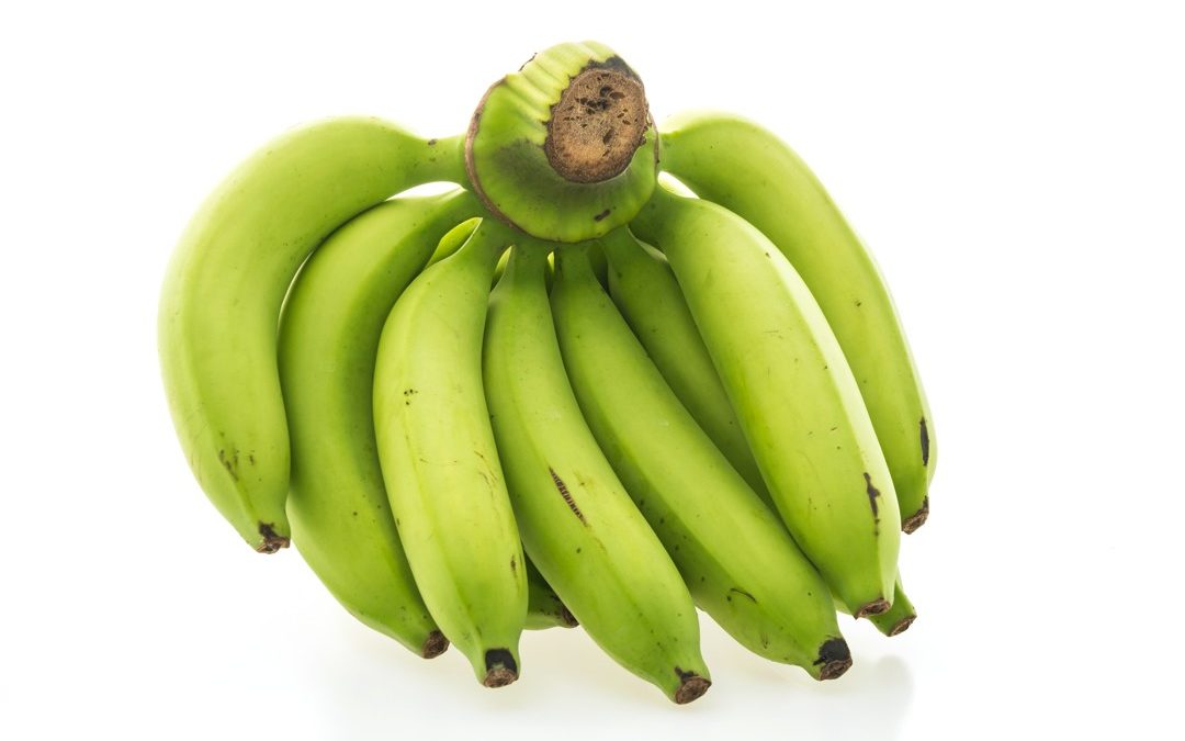 Los beneficios de la harina de plátano verde: una opción saludable y versátil para tu cocina