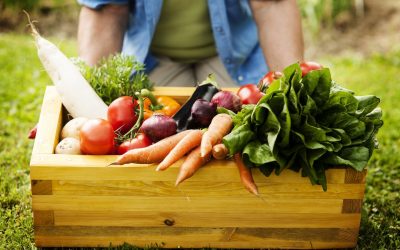 Distribuidores de frutas y verduras: Los aliados de tu restaurante