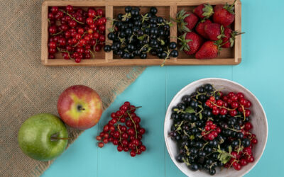 Frutas del Bosque: Los Superalimentos que Estabas Ignorando